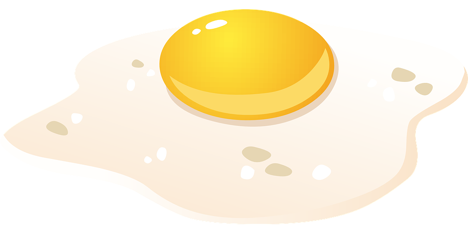egg yolk-source of biotin